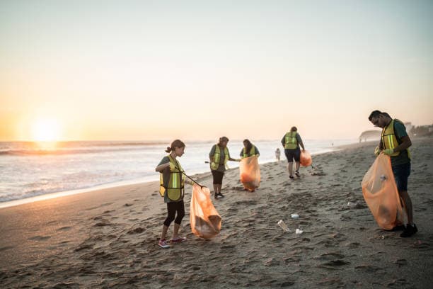 Beach Cleanup Drive